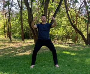 The 12 Postures of Hunyuan Qigong post feature image